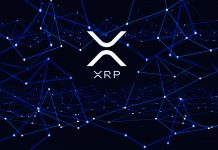 2020 XRP/Ripple Bull Run To The Moon!