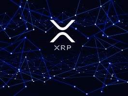 2020 XRP/Ripple Bull Run To The Moon!