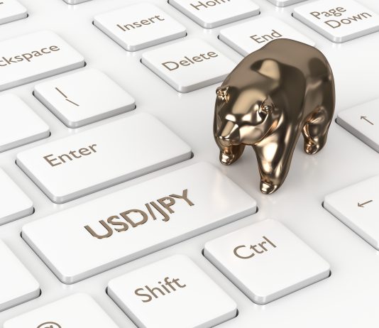 Forex Trading Ideas: USD/JPY Falls Down HUGE!!!